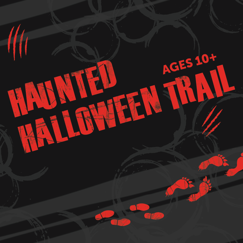Special Events_Web Tiles-24.png